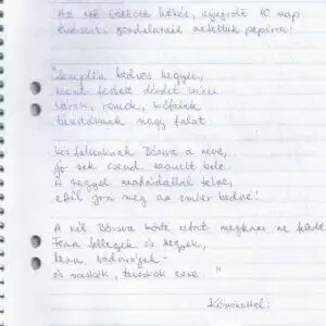 Bozsva_3_vendeg.jpg Bozsva_3_vendeg.jpg